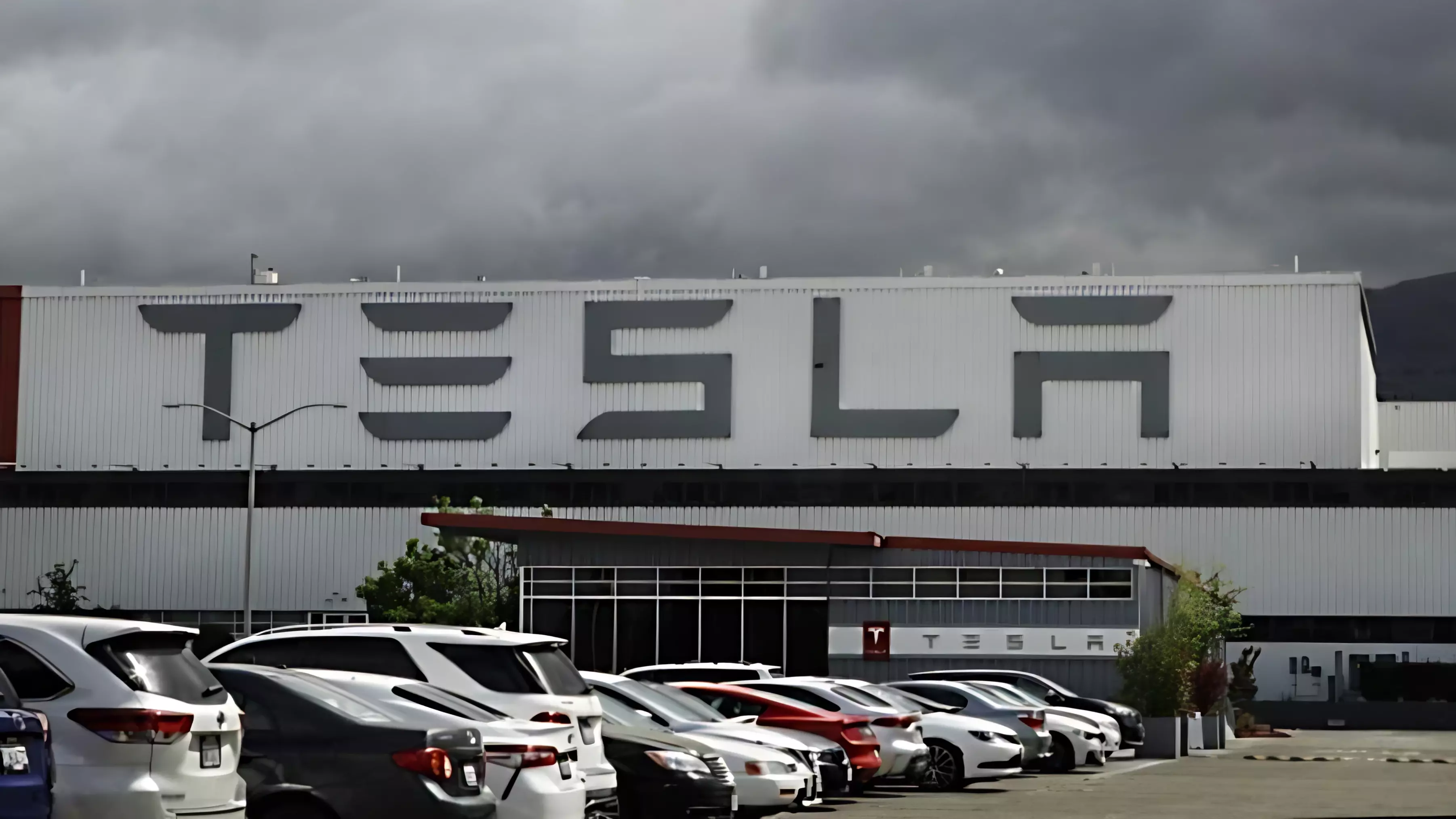 Tesla намерен «уделать» китайский BYD по продажам за счет дешевого EV