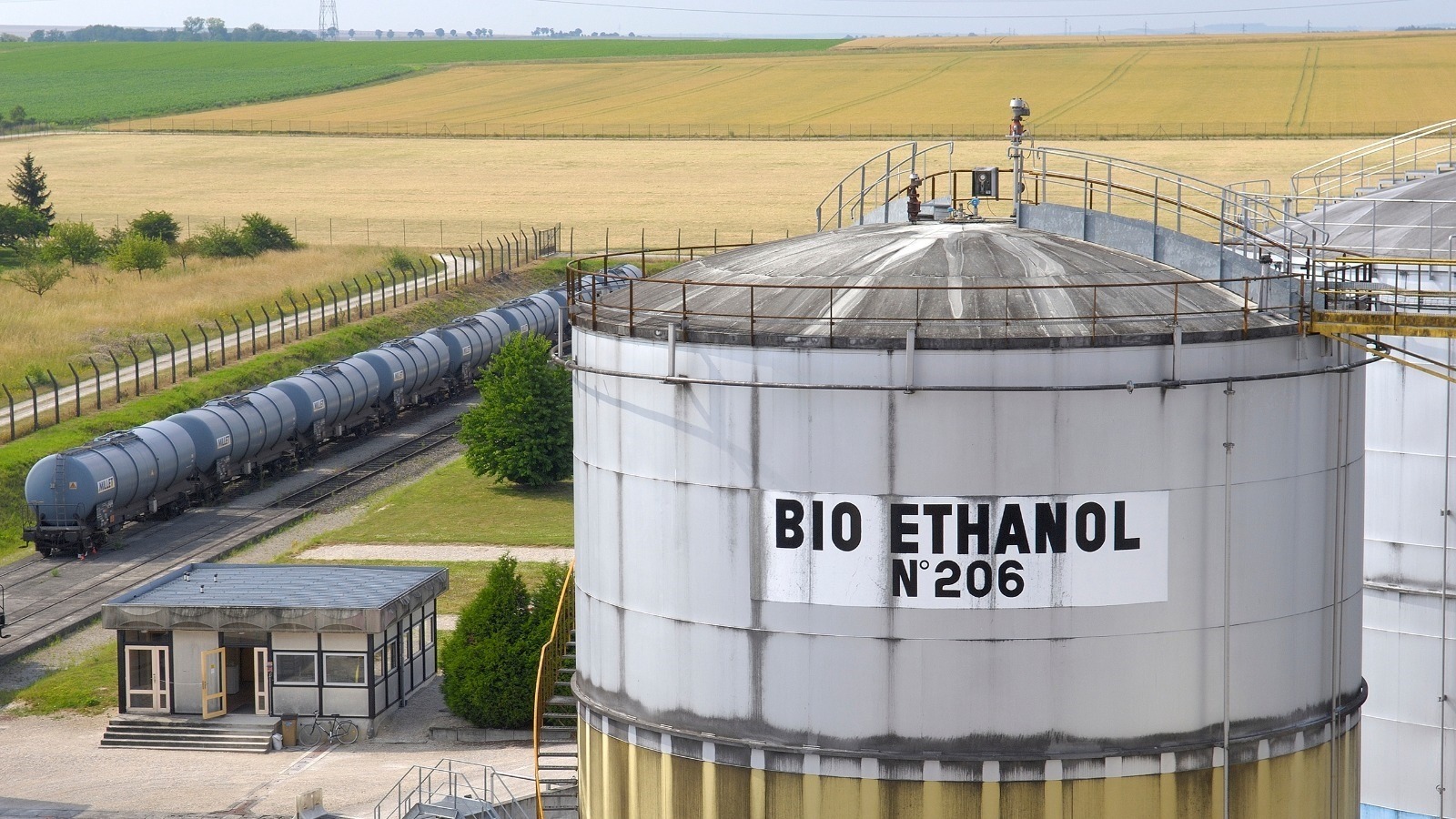 Кукуруза засыхает вместе с американской индустрией биотоплива