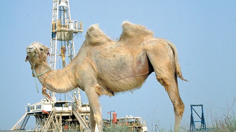 Нефтесервисная Eriell скоро будет работать в Казахстане